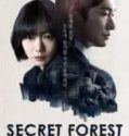 Secret Forest (2017)
