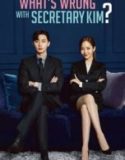 What’s Wrong With Secretary Kim (2018)