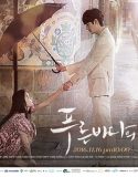 The Legend Of The Blue Sea (2016)