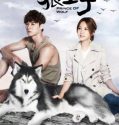 Prince of Wolf (2016)