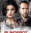 Blindspot Season 2 ( 2016)