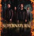 Supernatural Season 12 (2016)