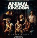 Animal Kingdom Season 1 (2016)