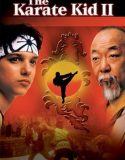 The Karate Kid (1986)