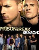 Prison Break Season 3 (2007)