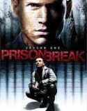 Prison Break Season 1 (2005)