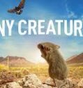 Tiny Creatures Season 1 (2020)