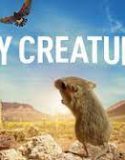 Tiny Creatures Season 1 (2020)
