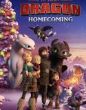 How To Train Your Dragon Homecoming (2019)