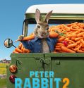 Movie Peter Rabbit 2 The Runaway (2021)