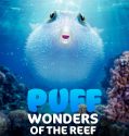 Nonton Puff Wonders of the Reef (2021)