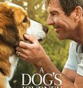 Nonton Film A Dogs Journey (2019)