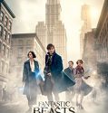 Nonton Fantastic Beasts and Where to Find Them (2016)