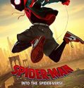 Nonton Spider Man Into the Spider Verse (2018)