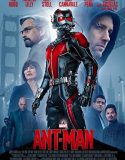 Nonton Ant Man (2015)