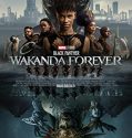 Nonton Black Panther Wakanda Forever (2022)