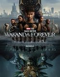Nonton Black Panther Wakanda Forever (2022)