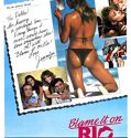Nonton Film Blame It on Rio (1984)