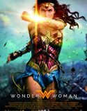 Nonton Wonder Woman (2017)