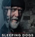 Film Sleeping Dogs (2024)